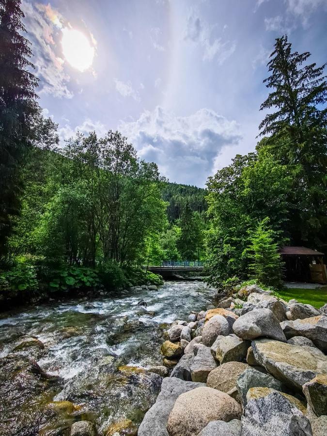 Tatrystay Riverstone Chalets 迪马诺卡多林纳 外观 照片