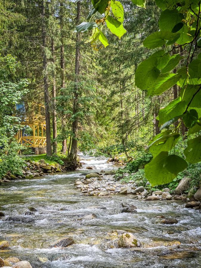 Tatrystay Riverstone Chalets 迪马诺卡多林纳 外观 照片