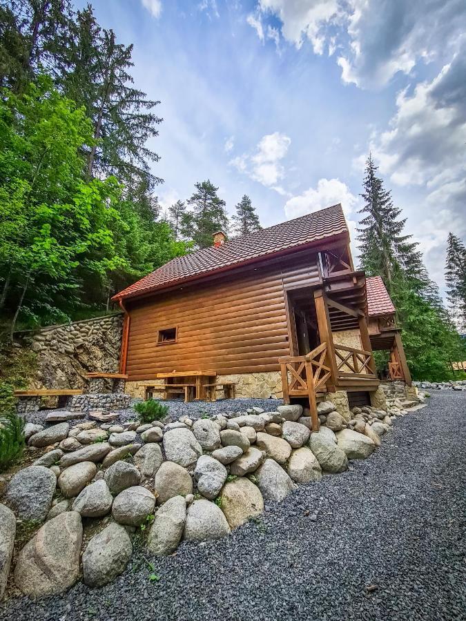 Tatrystay Riverstone Chalets 迪马诺卡多林纳 外观 照片