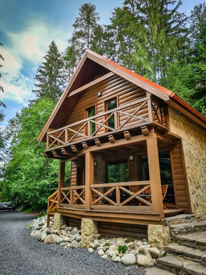 Tatrystay Riverstone Chalets 迪马诺卡多林纳 外观 照片